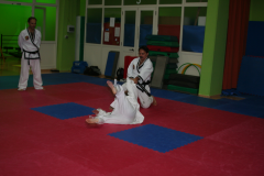 Copia-di-IMG_3301