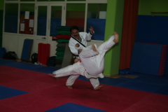 Copia-di-IMG_3303