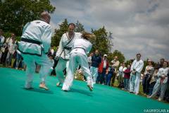 1044585_350985728337735_523962805_n