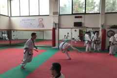 IMG_4464