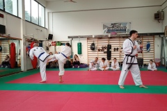 IMG_20190406_180429_7