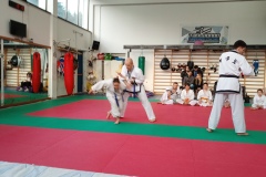 IMG_20190406_182033_6