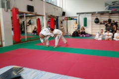 IMG_20190406_182238_0